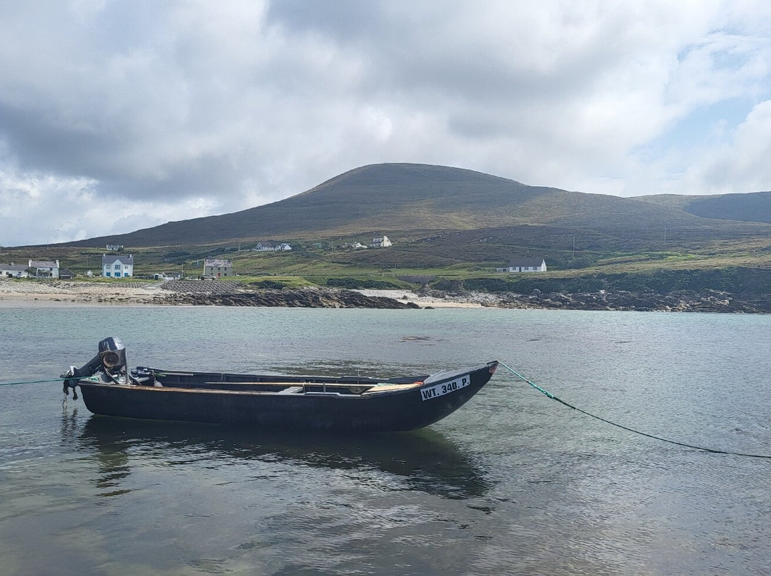 Joyce's Marian Villa Guesthouse主图