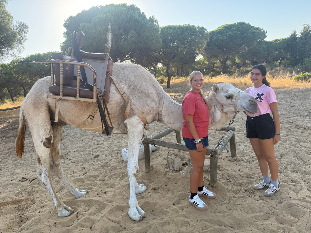 Aires Africanos-Matalascanas必去景点