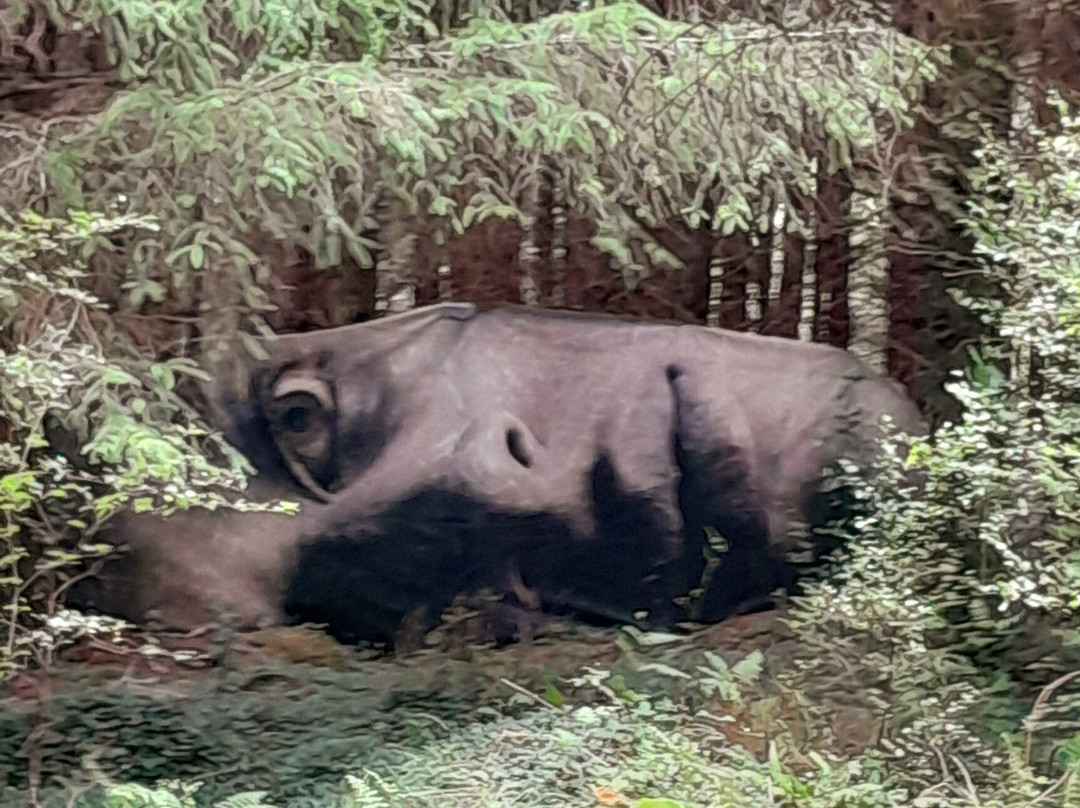 The Ewe Experience-Glengarriff必去景点