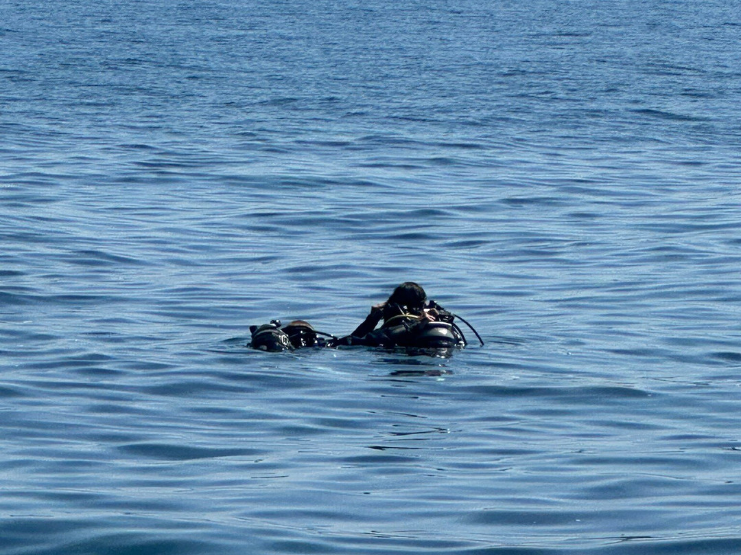 Nethuns Diving-Saint-Mandrier-sur-Mer必去景点