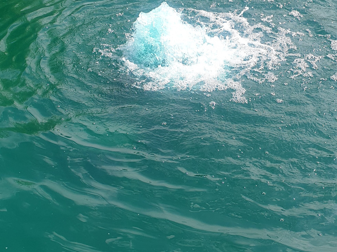 Inca Island Adventure Golf-Sutton Valence必去景点