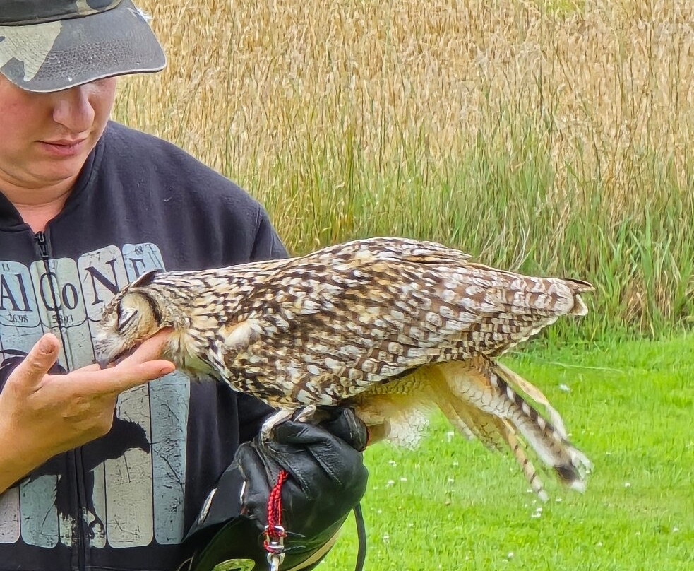 Elite Falconry-Kirkcaldy必去景点