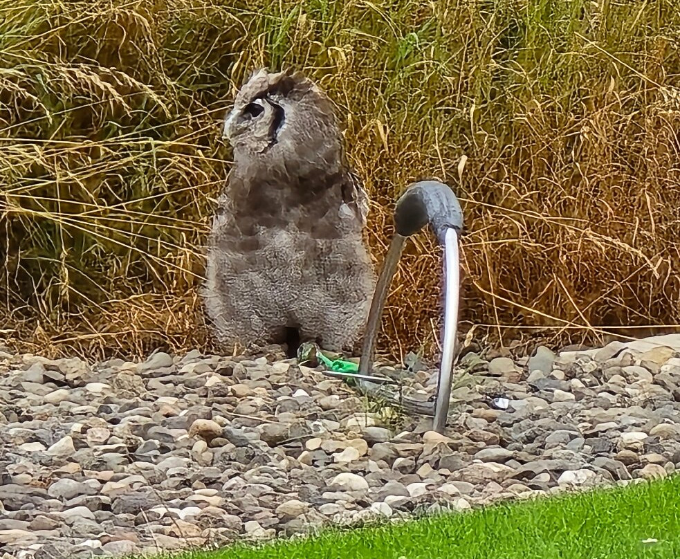 Elite Falconry-Kirkcaldy必去景点