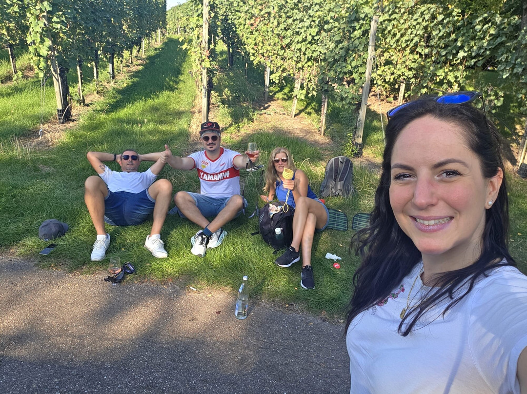 frohnatouren-斯图加特必去景点