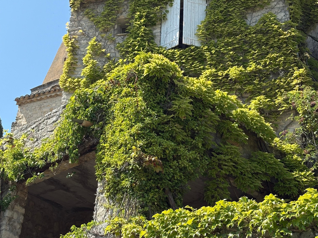 Sun-E-Bike-韦松拉罗迈纳必去景点