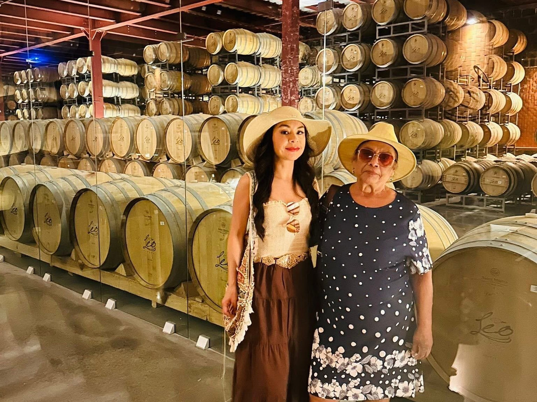 Vinedos Don Leo-Parras de la Fuente必去景点