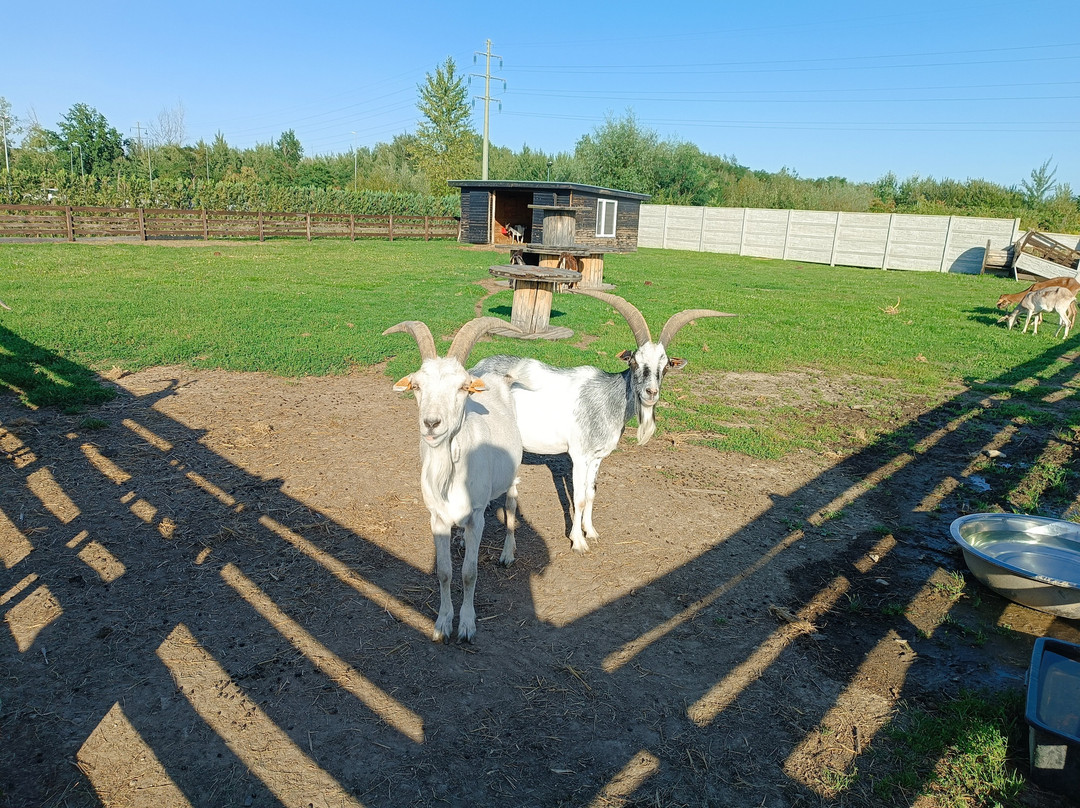 Hotel Antonio Conference主图