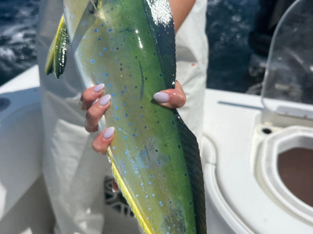 Reel Deal Fishing Charters-Truro必去景点