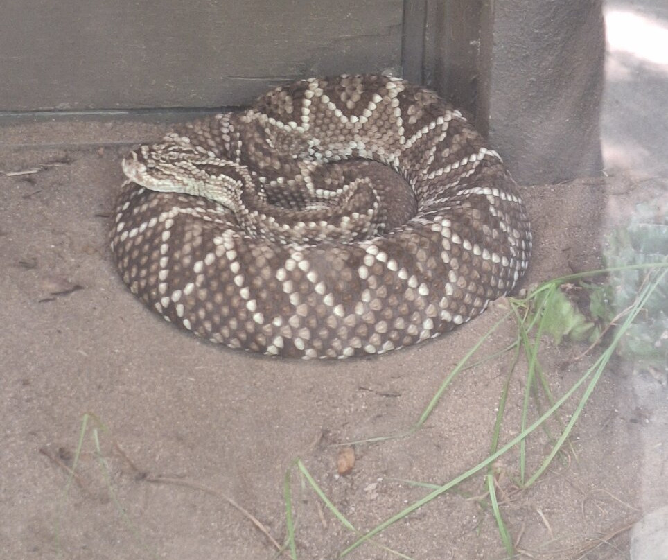Zoológico De Barranquilla-Barranquilla必去景点