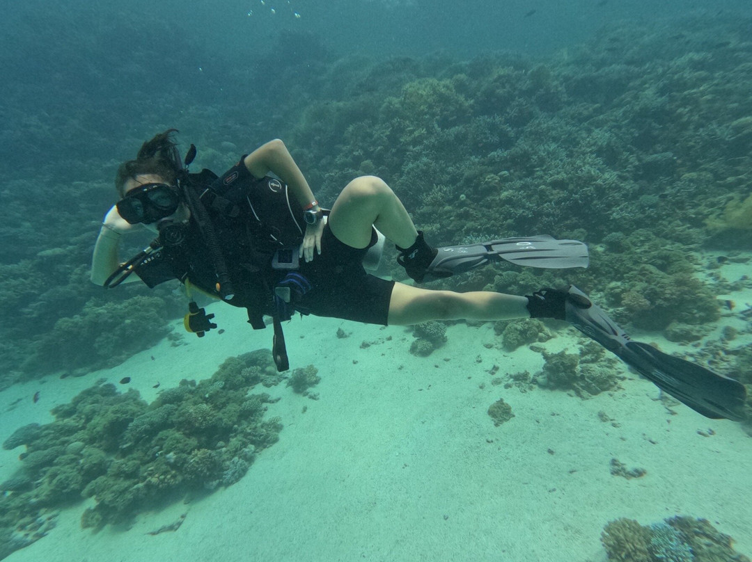 Bedouin Divers Dahab-达哈卜必去景点