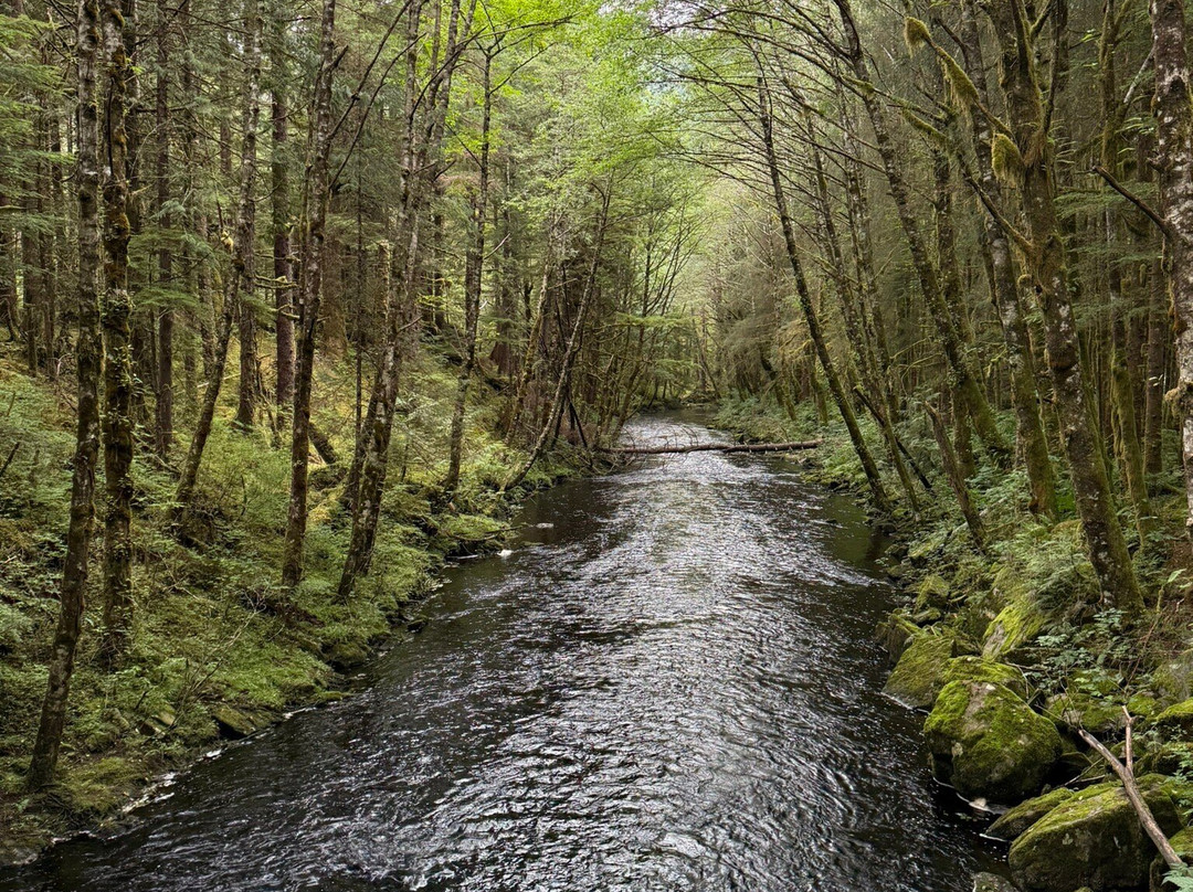 The Mill at Ward Cove Rainforest E-Bike & Nature Walk-Ward Cove必去景点