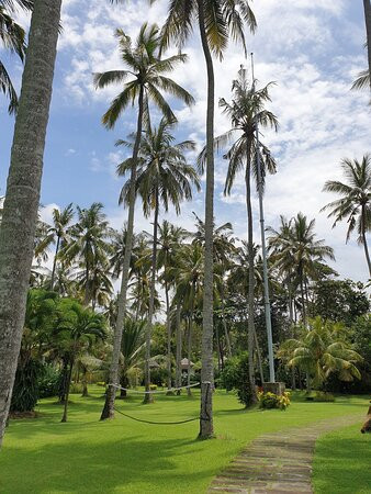 坎迪海滩小屋主图