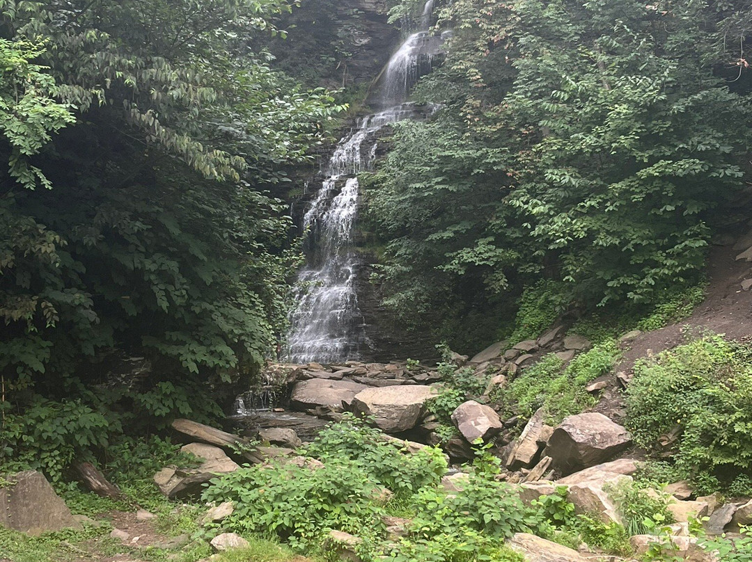 Cathedral Falls-Gauley Bridge必去景点