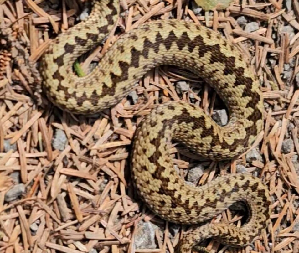 Hamsterley Forest-Hamsterley必去景点