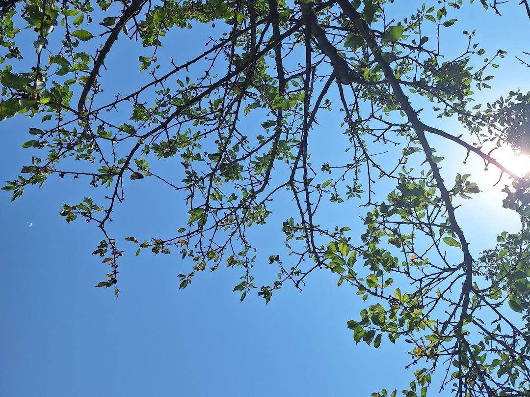 Hotel Solana Del Ter主图