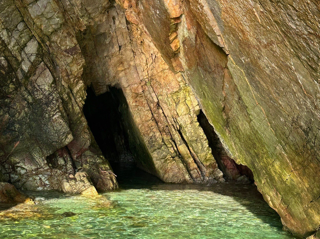 Vedettes Sirenes - Grottes Marines de Morgat-Morgat必去景点