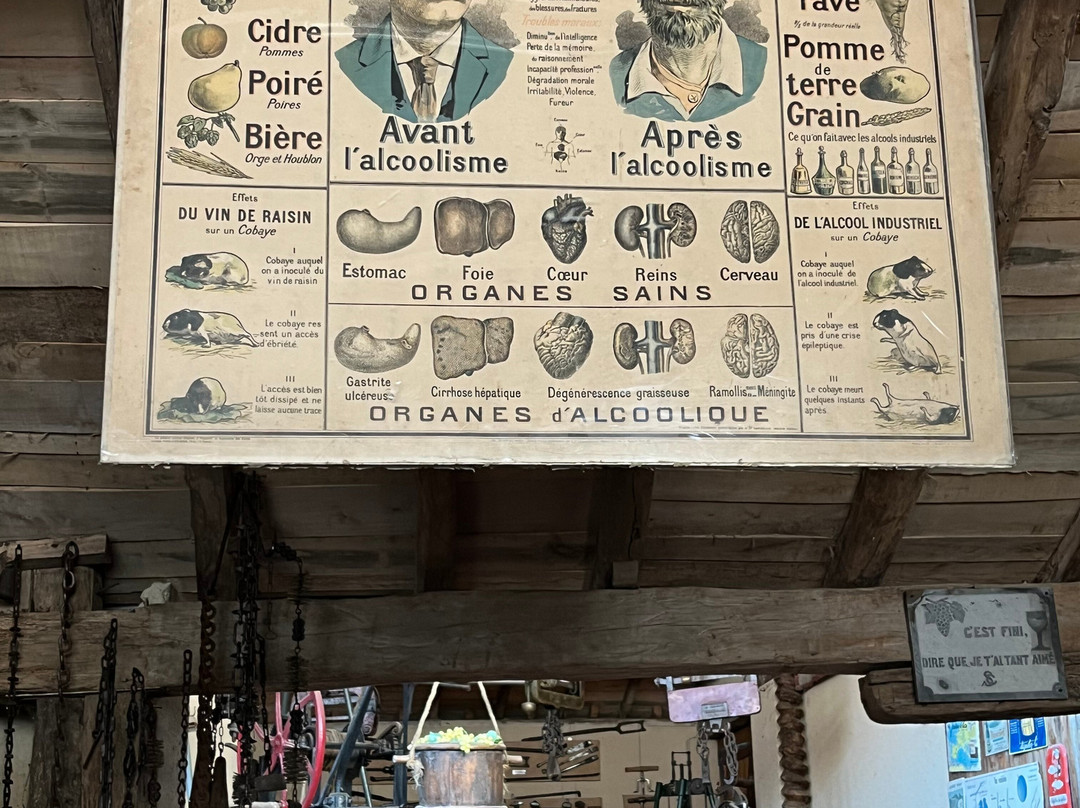 Musée Conservatoire des Tres Cantous-Gaillac必去景点