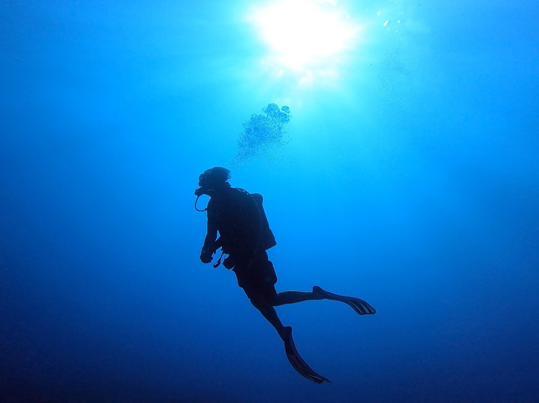 Kaz Plongée-L'Etang-Sale必去景点