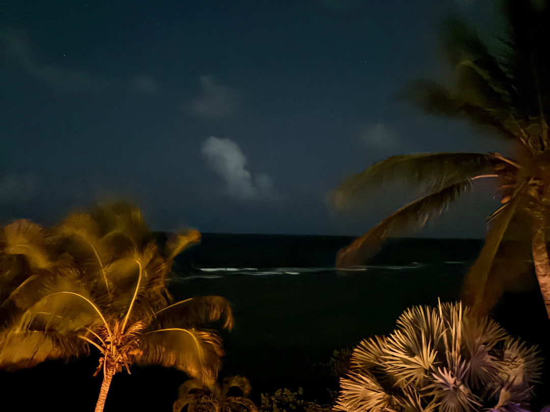 Villa Margarita主图