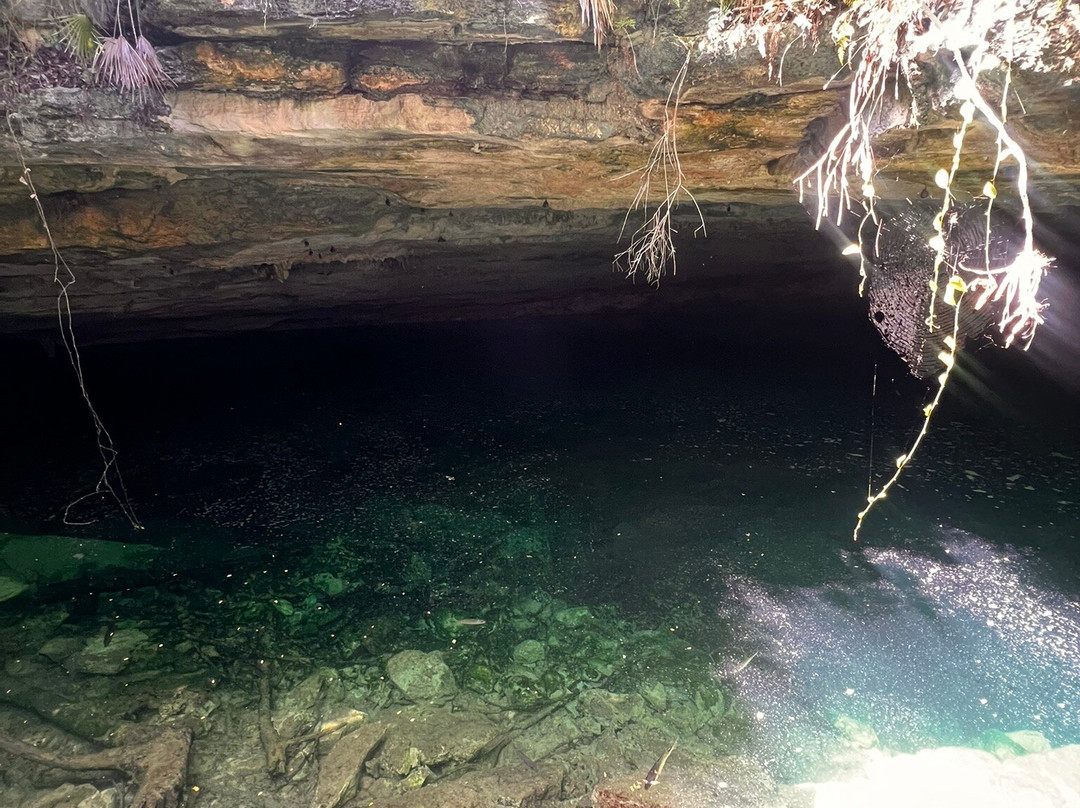 Lucayan Caverns-Lucayan National Park必去景点