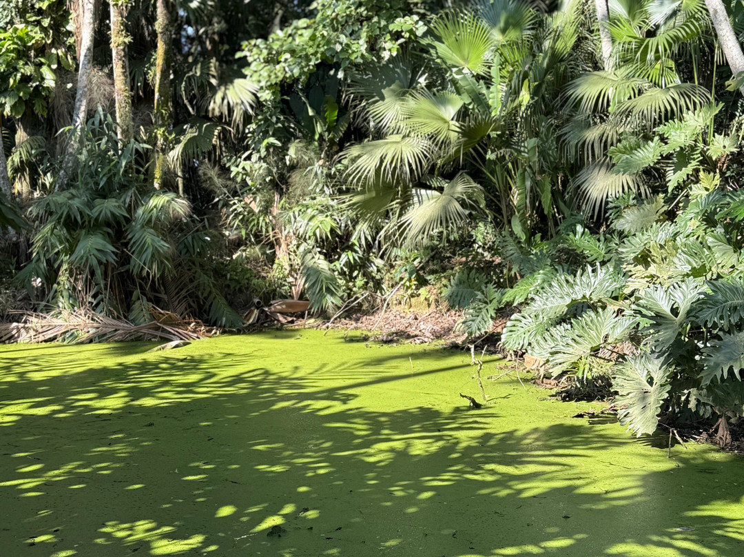 Hemero - Jardins Como Arte-Joinville必去景点