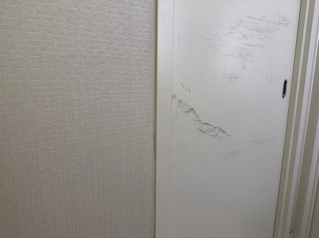 Sheraton Suites Chicago Elk Grove主图