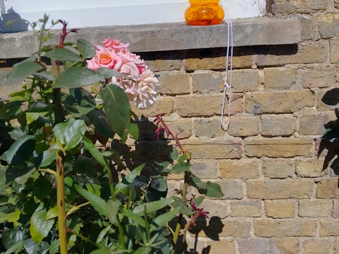 Emmetts Garden-Sevenoaks必去景点