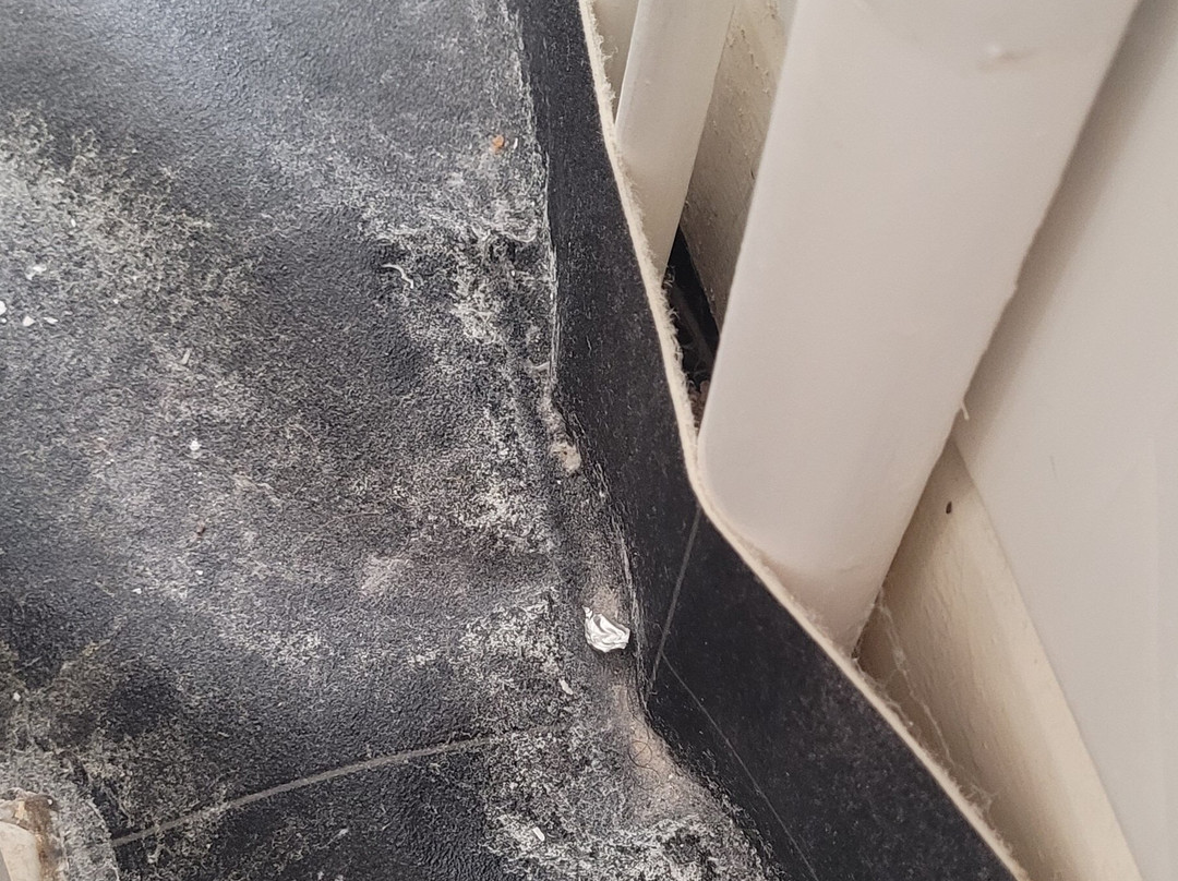 The Winston Guesthouse主图