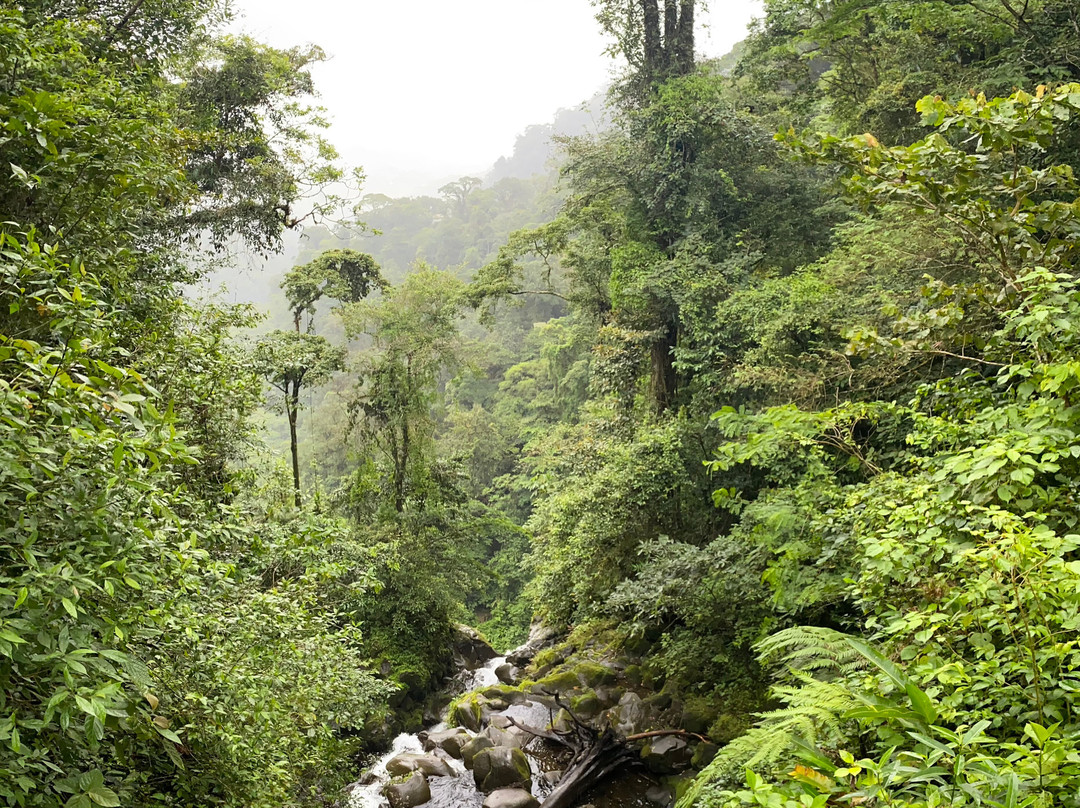 Mi Cafecito Coffee Tour-阿拉辉拉必去景点