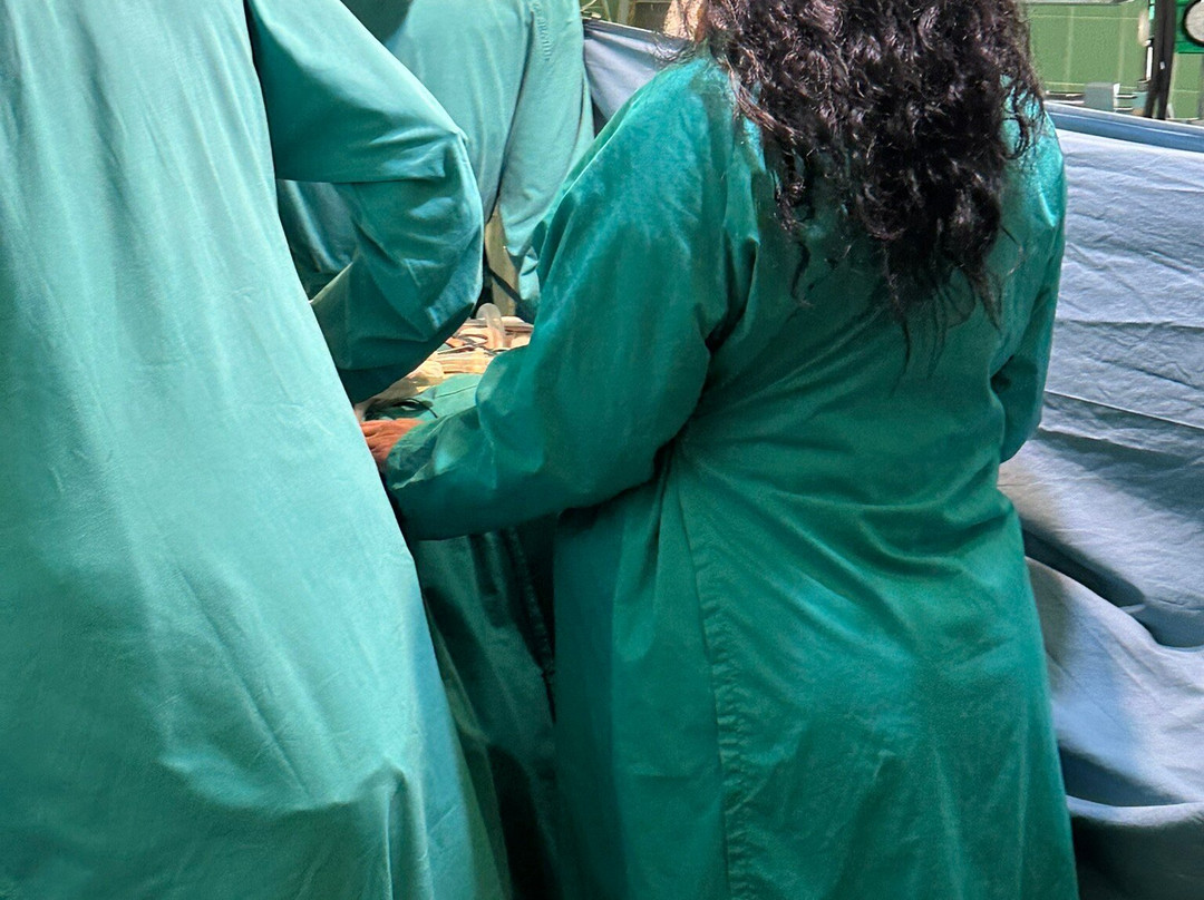 开普敦之心博物馆-开普敦中心区必去景点