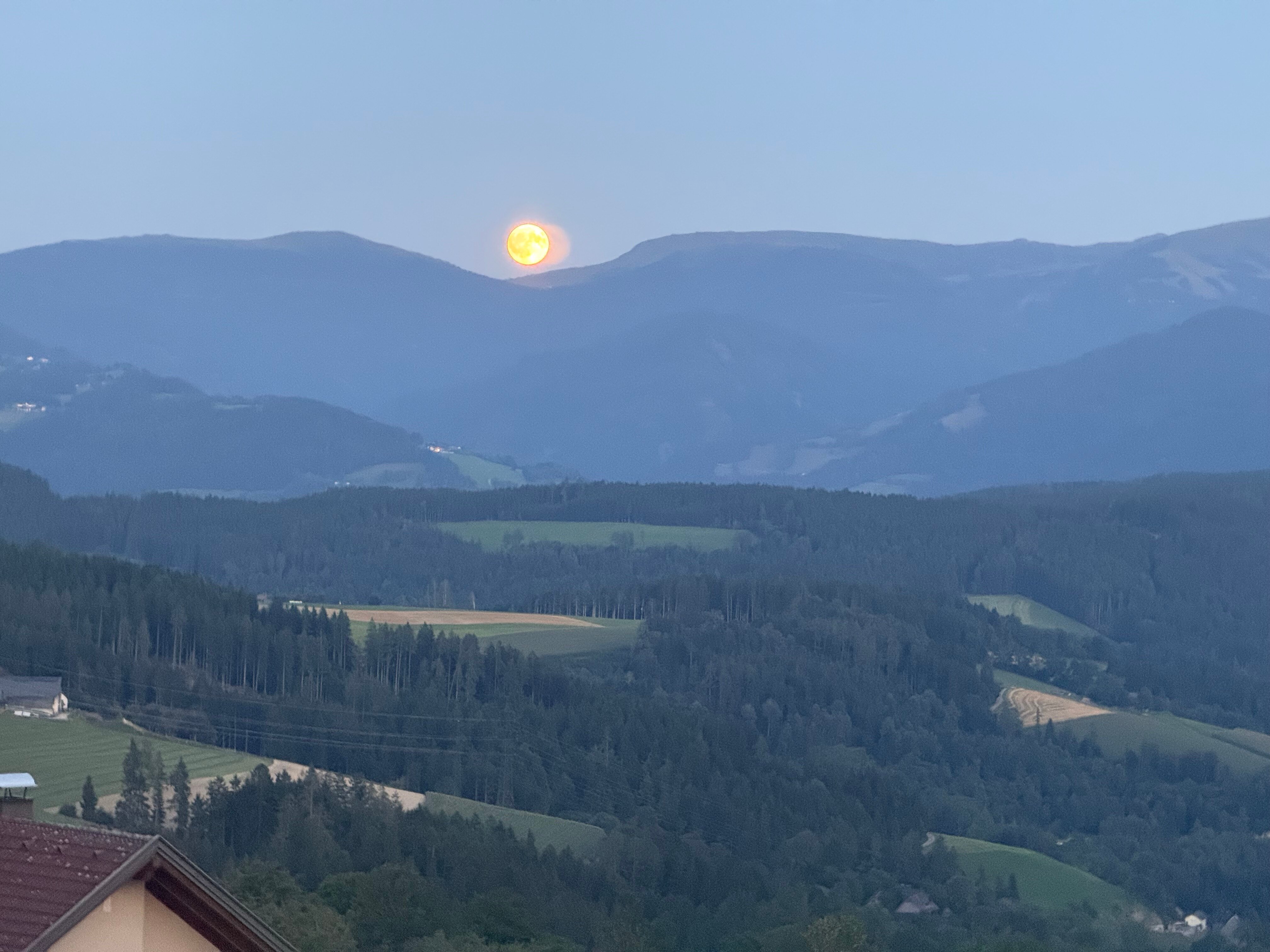 Hotel - Restaurant Friesacherhof-官方