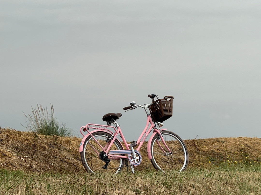 Beach Bikes - Location de Vélo - Grand-Village-Plage-Le Grand-Village-Plage必去景点