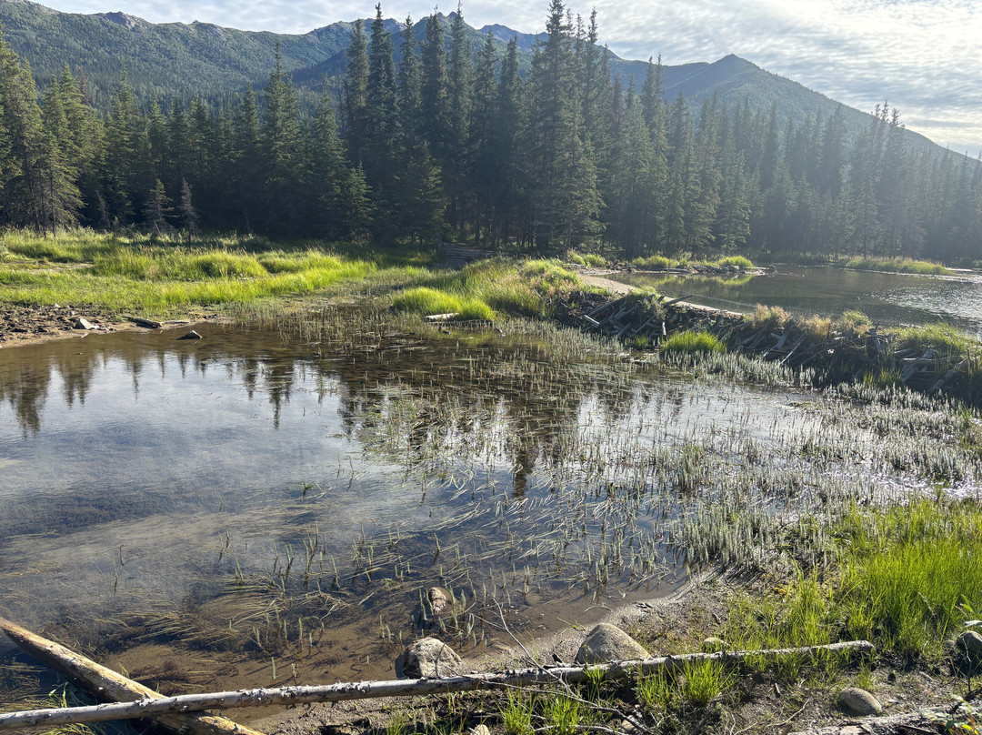 Horseshoe Lake Trail-德纳利国家公园和自然保护区必去景点
