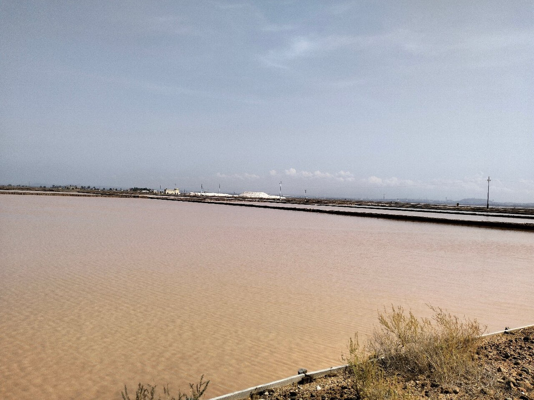 Saline Conti Vecchi-Assemini必去景点