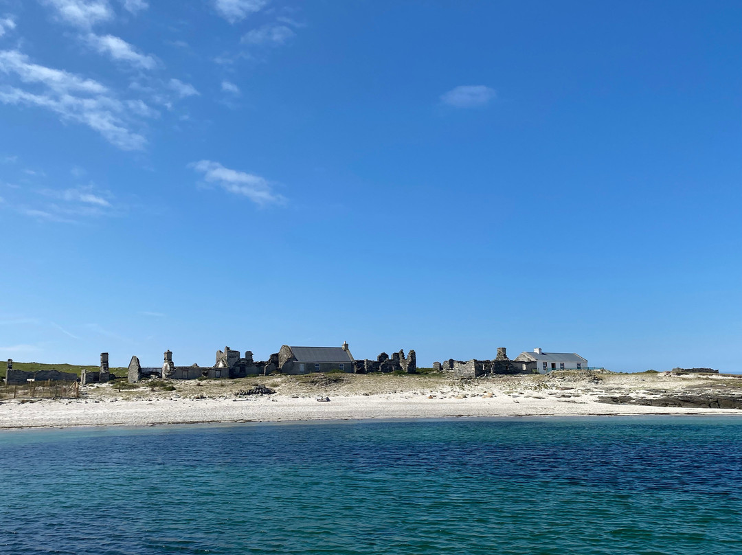 Blacksod Sea Safari-Belmullet必去景点