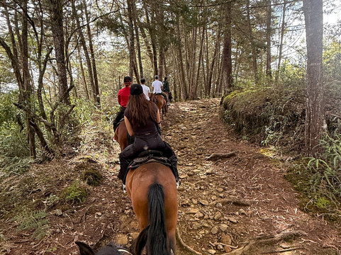 Serenya Reserva Ecuestre-恩维加多必去景点