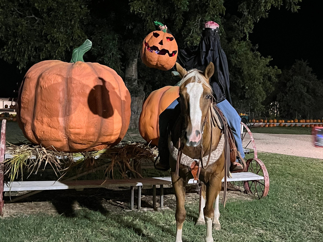 Denton Valley Farms-Clyde必去景点