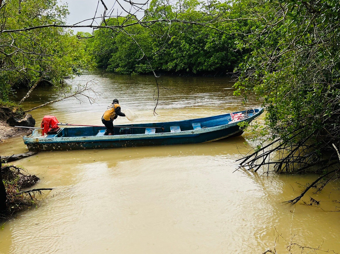 Prek Kongkang Koh Rong Ecotourism Community-Kaoh Touch必去景点