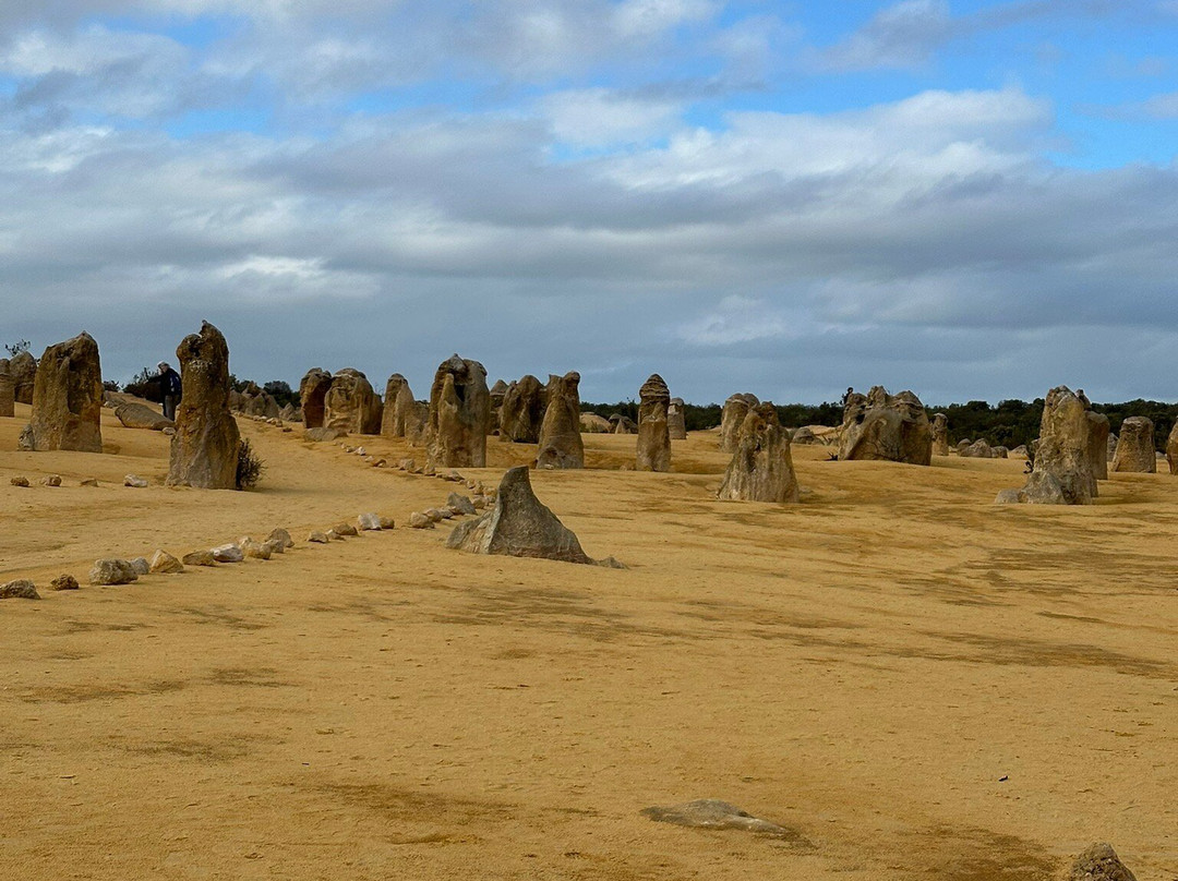 The Pinnacles Desert-Nambung必去景点