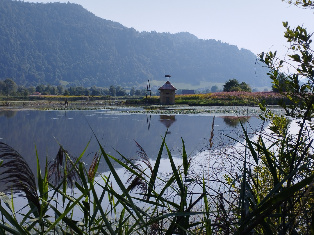 Slow Trail Bleistätter Moor Ossiach-欧西亚赫必去景点