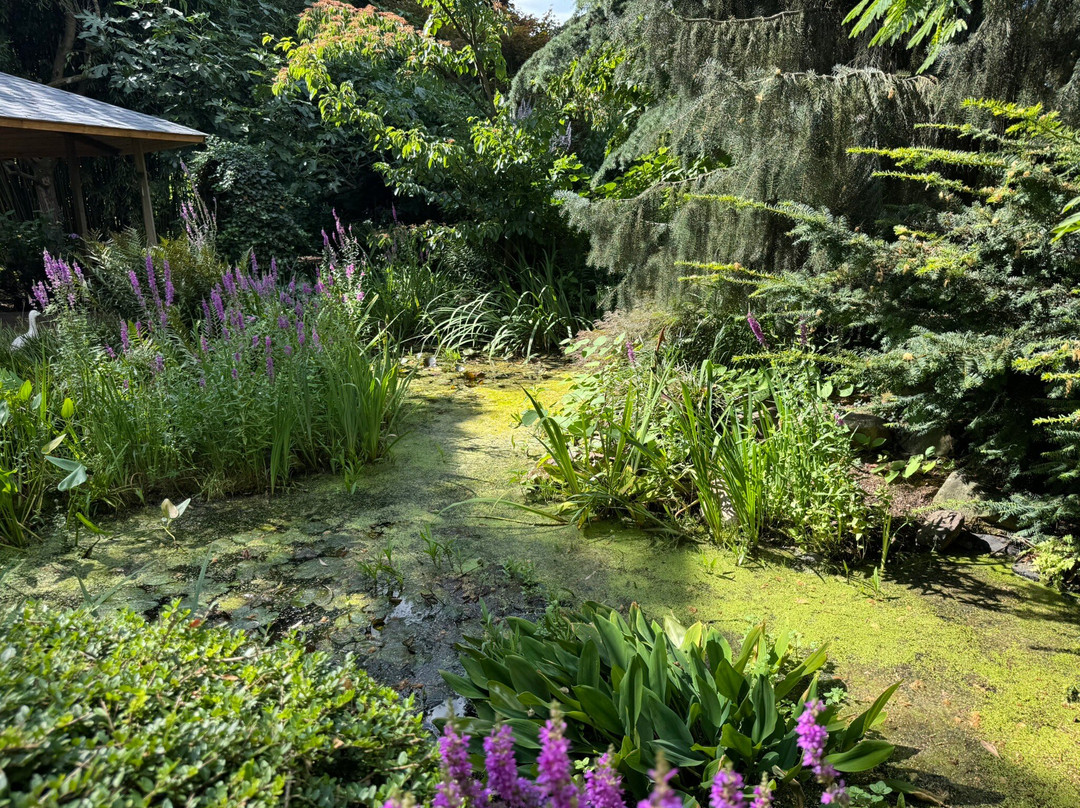 The Hidden Garden-芬洛必去景点