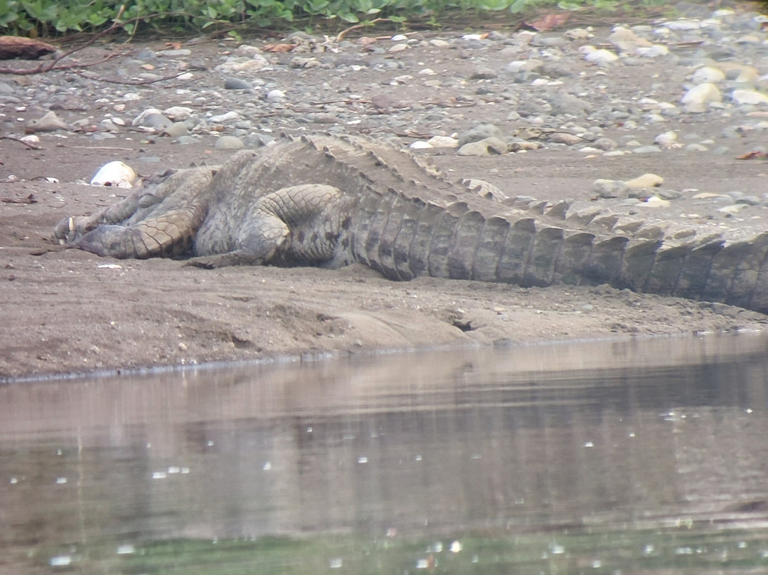 Corcovado Guia CR-希门尼斯港必去景点