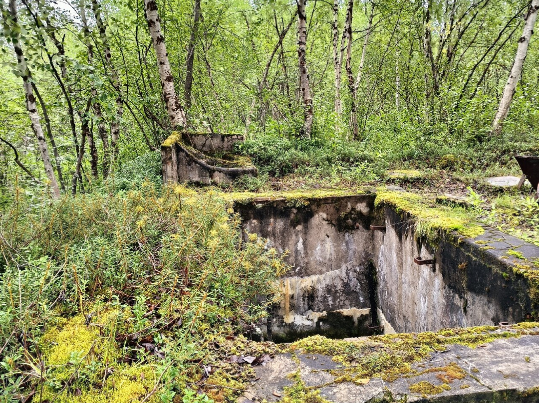 Lazarettmoen German Field Hospital Remains-Skoganvarre必去景点
