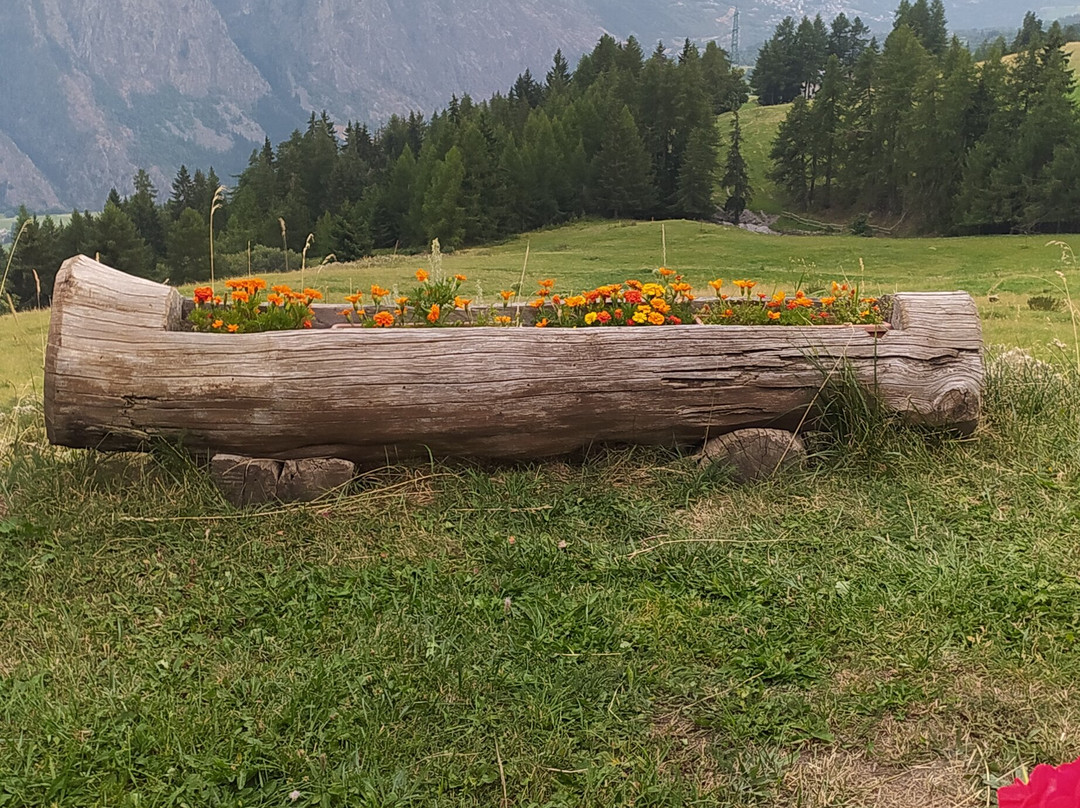 Agriturismo Les Vieux Alpages主图