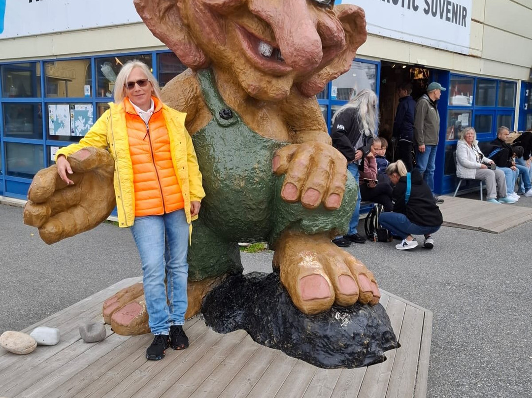 North Cape Tourist Information-霍宁斯沃格必去景点