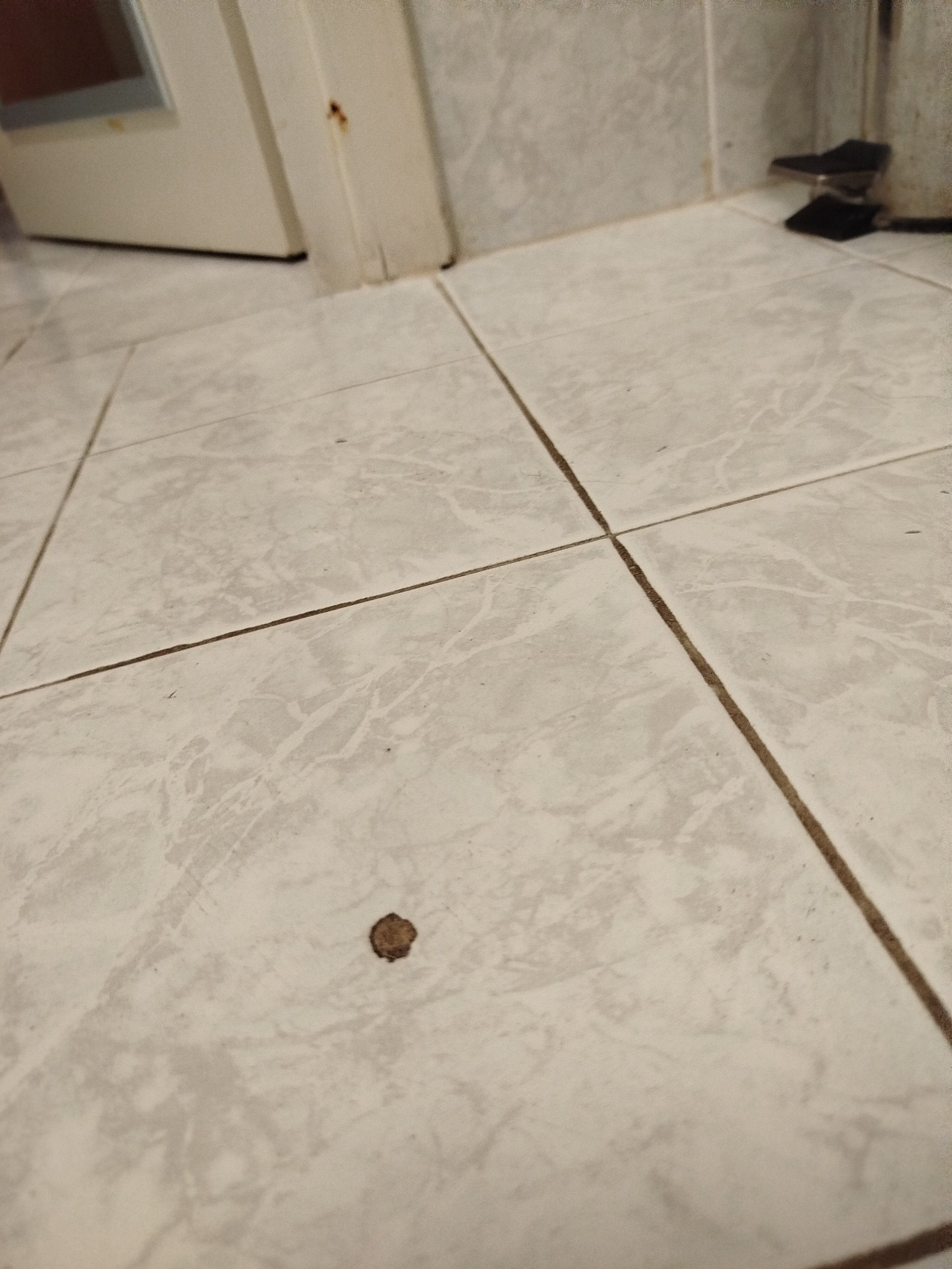 Hotel Del Faro-官方