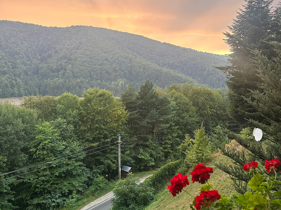 Cabana Valea cu Pesti主图