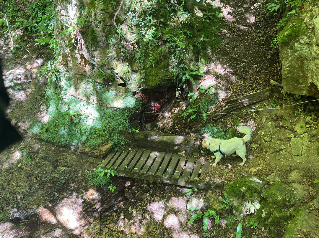 Sentiero Braggion-Valdagno必去景点