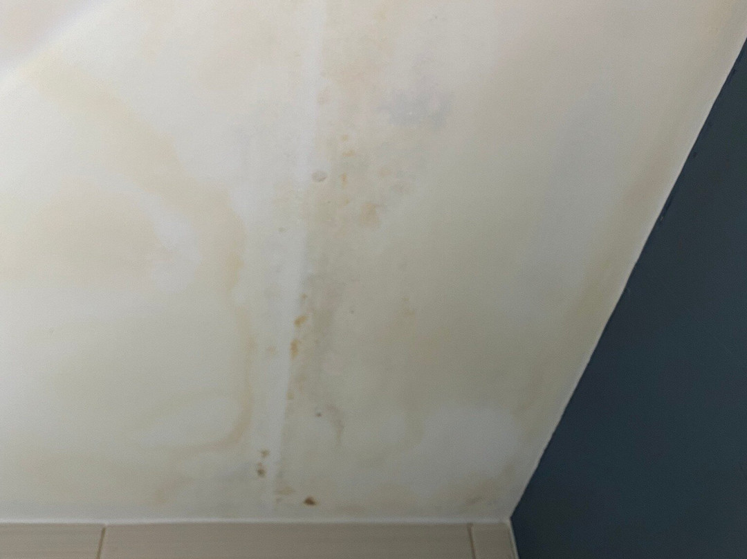 金羊毛酒店主图