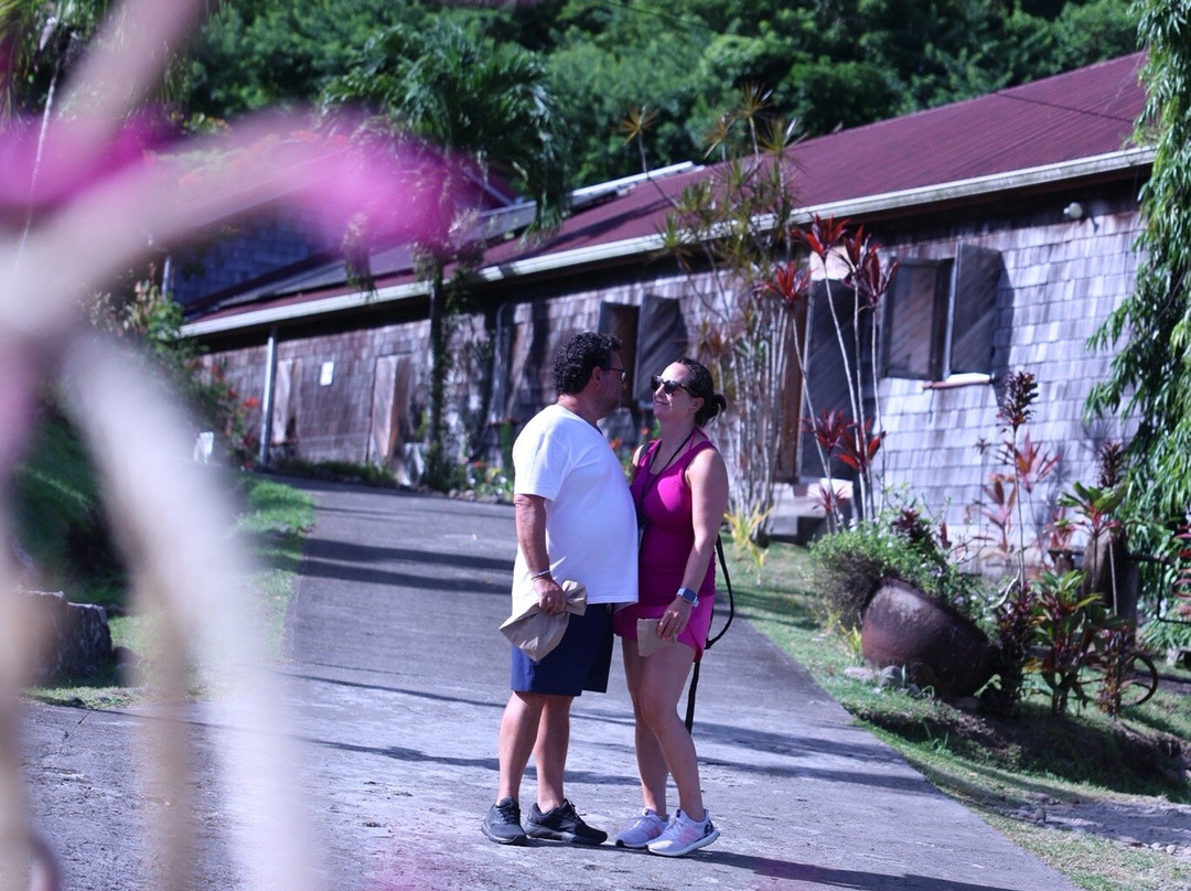 A Sweet Grenada Tours & Taxi-格林纳达必去景点